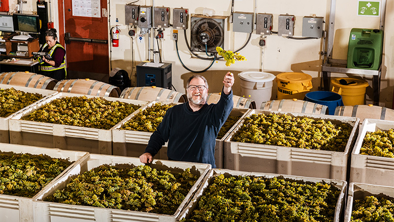 Massican's wines have long been adored, though founder and winemaker Dan Petroski propelled the winery to new heights over the past year.