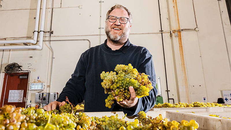 Massican's wines have long been adored, though founder and winemaker Dan Petroski propelled the winery to new heights over the past year.