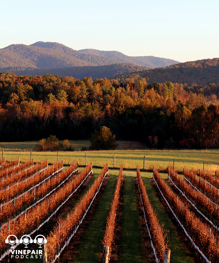 The VinePair Podcast: Virginia’s Wine Industry Is Blossoming