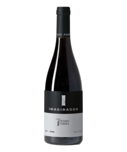 Pedro Parra Imaginador Cinsault