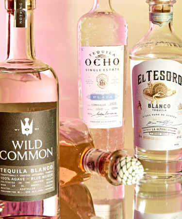 The 8 Best Alternatives to Tequila Fortaleza