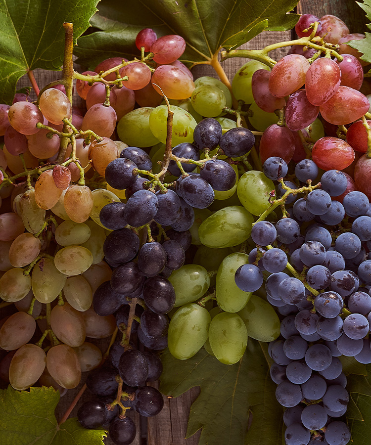 The Different Names for Popular Wine Grapes Around the World [Infographic]