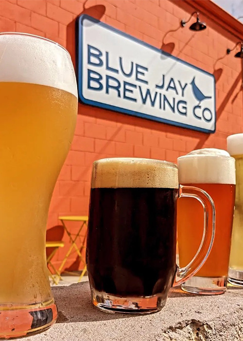 Blue Jay Brewing Co. in St. Louis is one of the best new breweries of 2024. 