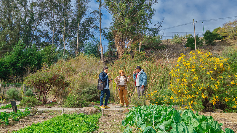 By sourcing high-quality raw ingredients from local farms, True Laurel formulates far more complex and terroir-driven cocktails for guests.