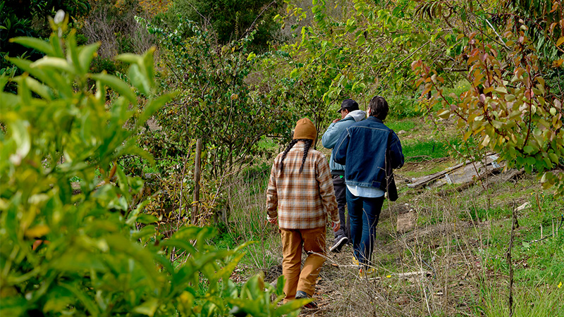 By sourcing high-quality raw ingredients from local farms, True Laurel formulates far more complex and terroir-driven cocktails for guests.