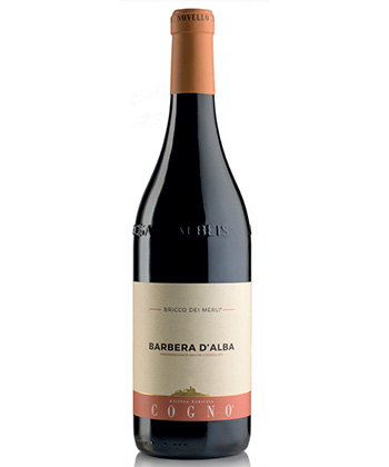 Elvio Cogno Bricco dei Merli Barbera d’Alba 2022 is one of the best Barberas from Piedmont. 