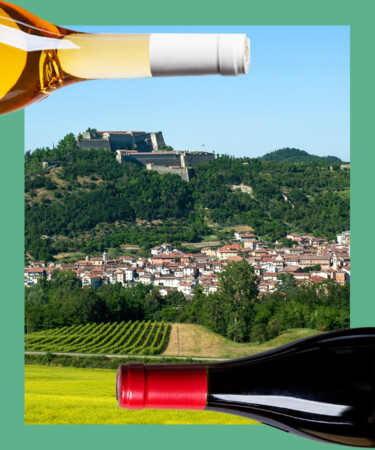 8 of the Best White Wines from Italy’s Gavi