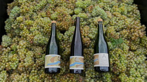 15 Winemakers To Watch In 2025 VinePair Winemakers To Watch 2025 Internal Entelecheia Wine Cellars 500x281