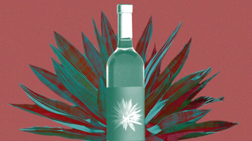 What Is Agave Wine? And How Can I Use It in Cocktails?