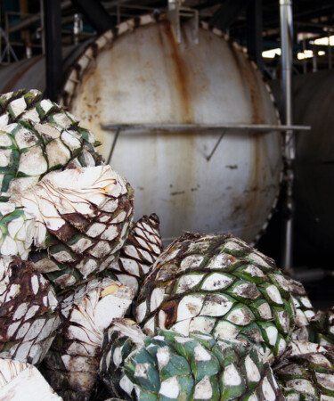 Tequila Regulator CRT Files Lawsuit Against the Additive Free Alliance, Escalating Ongoing Clash