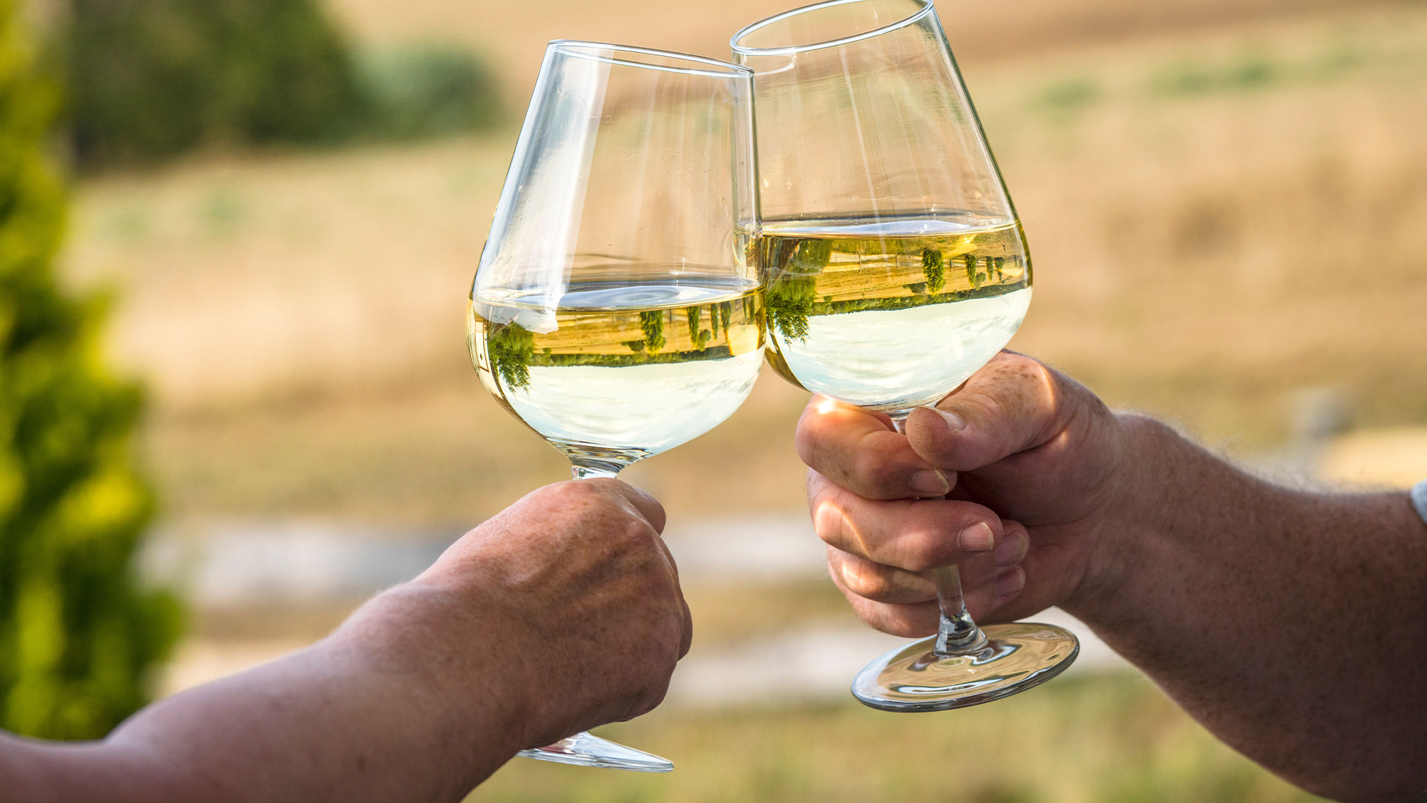 油彩画　white wine time Peter Mertes It's Wine Time It's Pinot Grigio time | Total