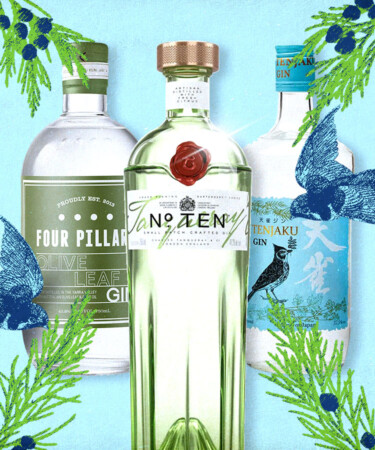 The 30 Best Gins for 2025