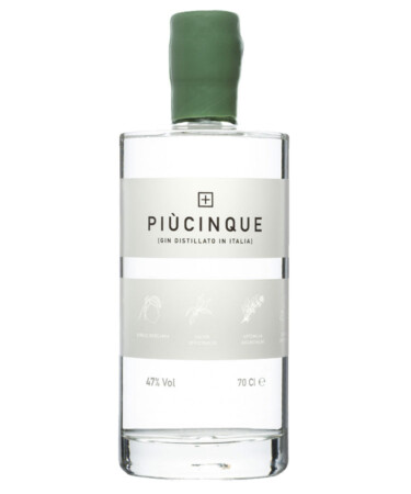 PiùCinque Gin