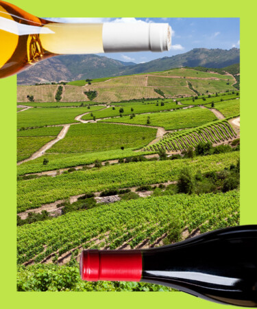 10 of the Best Carménères From Chile