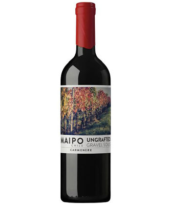 De Martino ‘Ungrafted’ Carménère 2022 is one of the best Carménères from Chile. 