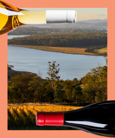 8 of the Best Chardonnays From Australia