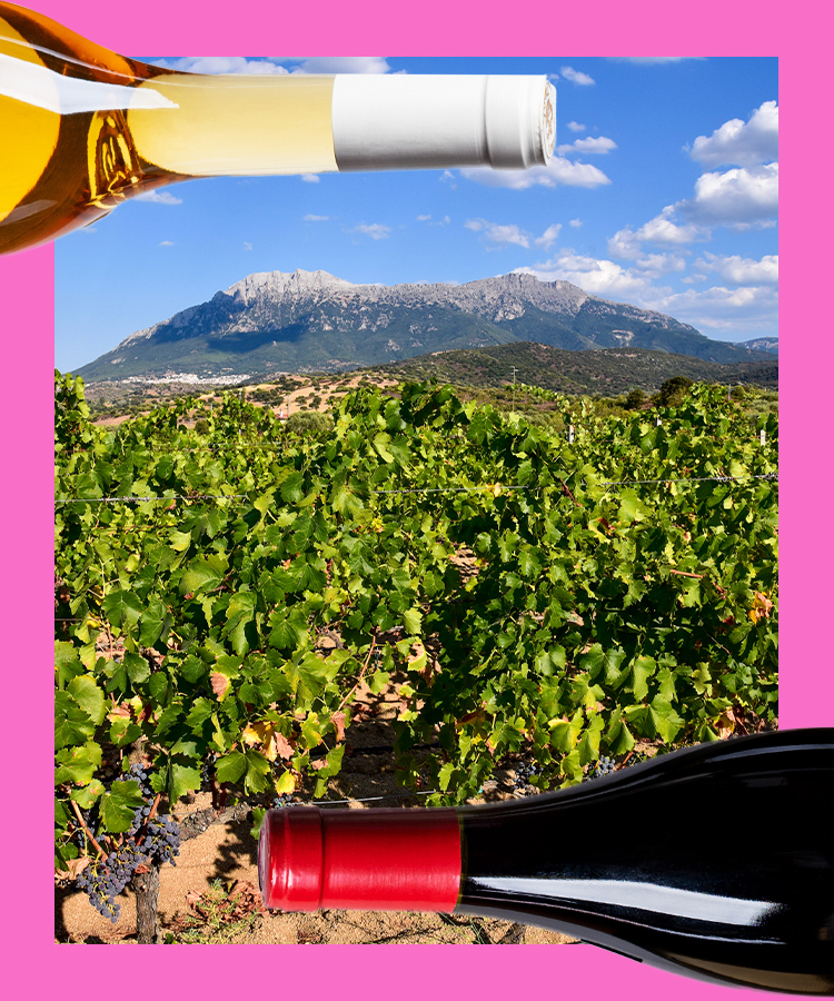 7 of the Best Red Wines From Sardinia