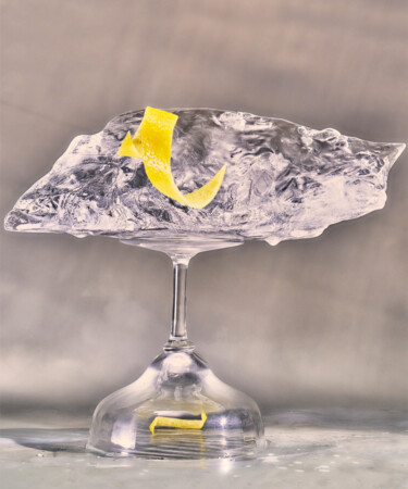 Hey Bartender, What the Heck Is on My Ice?