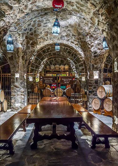 Jose Cuervo and the Jose Cuervo Express have one of the best distillery tours in Mexico.