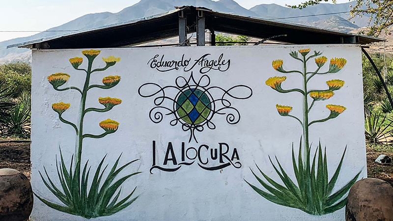 Mezcal Lalocura has one of the best distillery tours in Mexico.