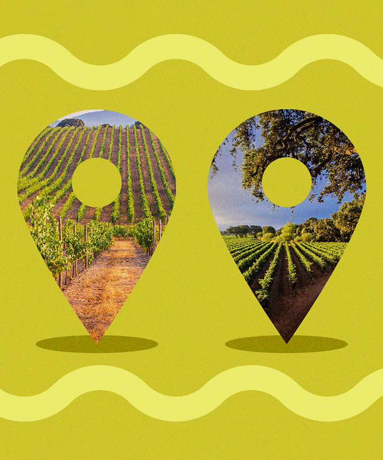 10 of the Most Important Vineyards in the U.S.
