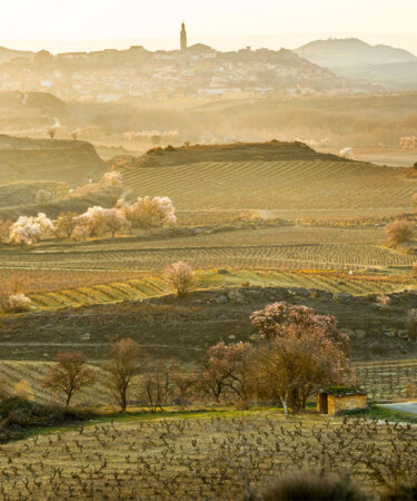Celebrate Rioja’s Century of Superior Wines