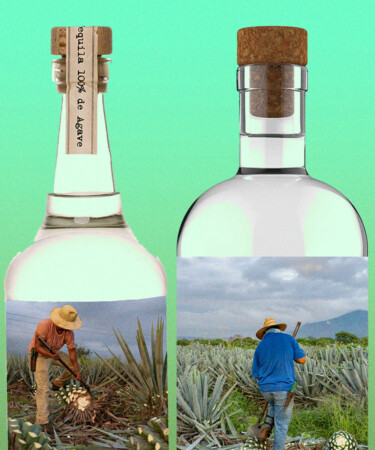 Two Simple Ways to Check the Quality of Your Tequila