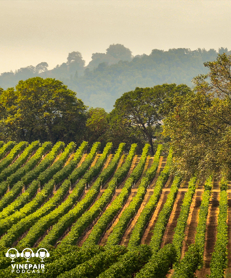 The VinePair Podcast: The Hidden Obstacles to Evolution in Napa Valley