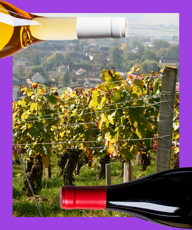 17 of the Best Wines From Chablis