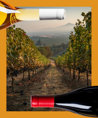 10 of the Best Gamays From the Willamette Valley