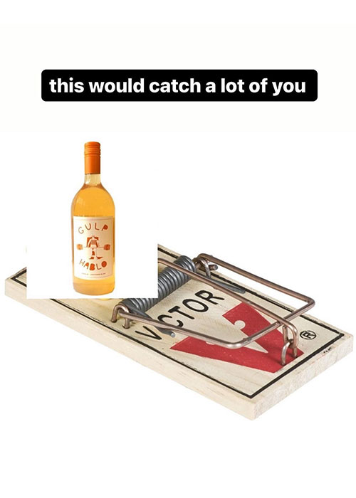 With its approachable flavor and inviting label, Gulp Hablo is a rare success story in today's wine industry. But where did it come from?