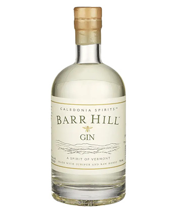 Barr Hill Gin is one of the best gins for mixing classic cocktails, according to bartenders. 