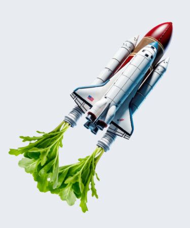 Why Is Arugula Called ‘Rocket’ Outside the U.S.?
