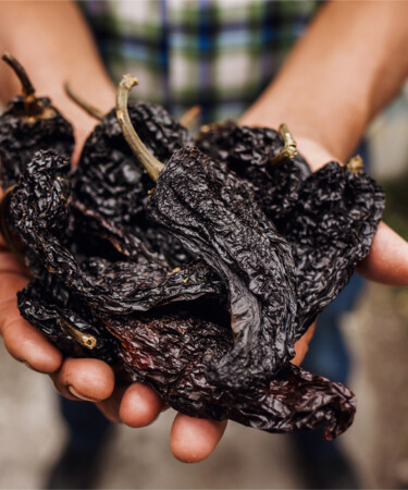 Chipotle Peppers Aren’t Actually a Species of Pepper