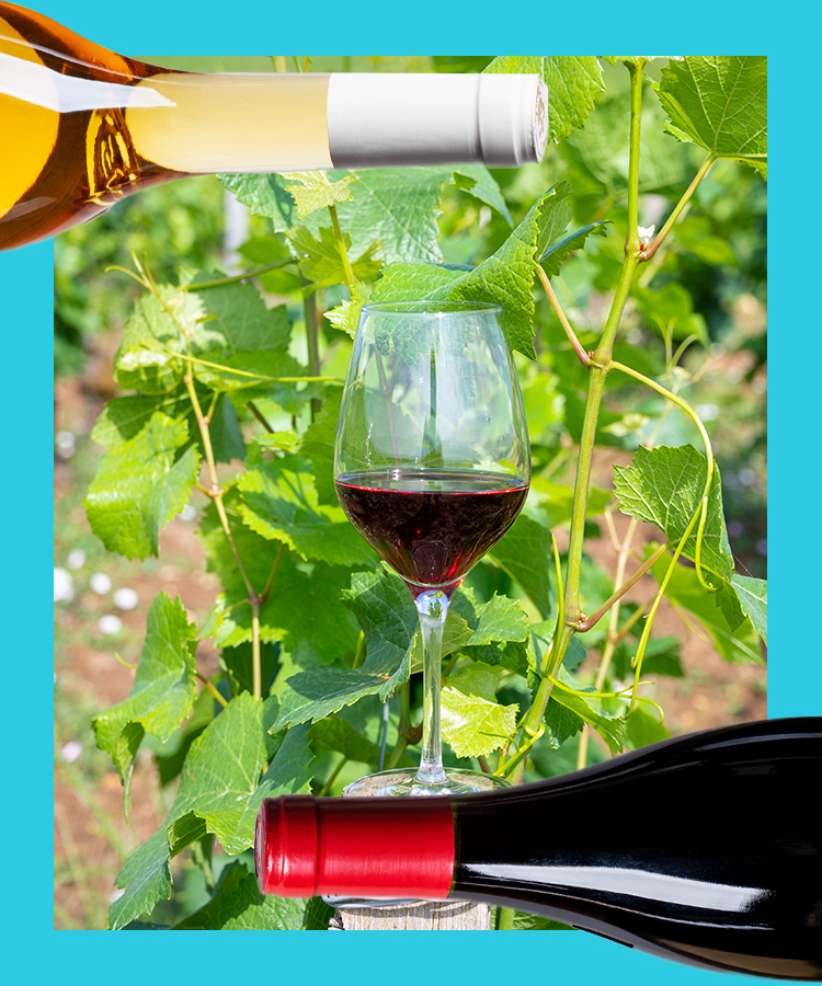 8 of the Best Pinot Noirs From Northern Burgundy
