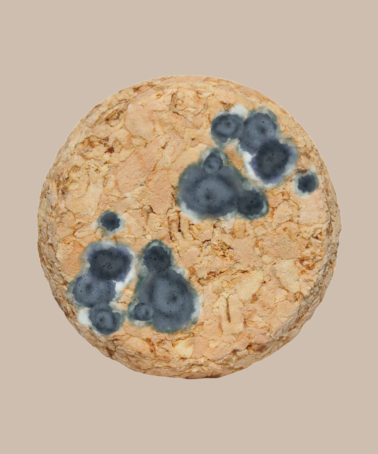 Ask a Wine Pro: Is it Safe to Consume Wine With Mold on the Top of the Cork?