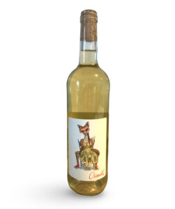 Osmote 'Red Fox' White Hybrid Blend