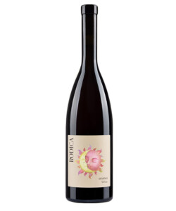 Rodica Sivi Pinot