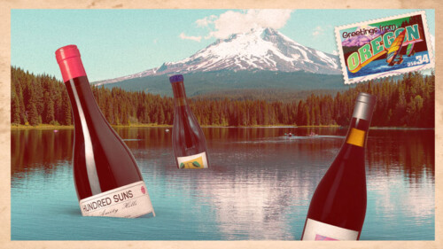 The 10 Best Oregon Pinot Noirs Under $50