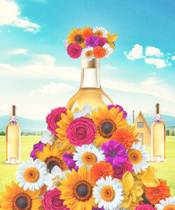 The Prized White Wines Collectors Covet Most — That Aren’t Chardonnay