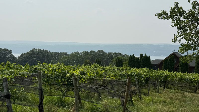 Pinot Noir from the Finger Lakes tends to be overshadowed by Riesling and Cabernet Franc, but it's absolutely worth your attention.