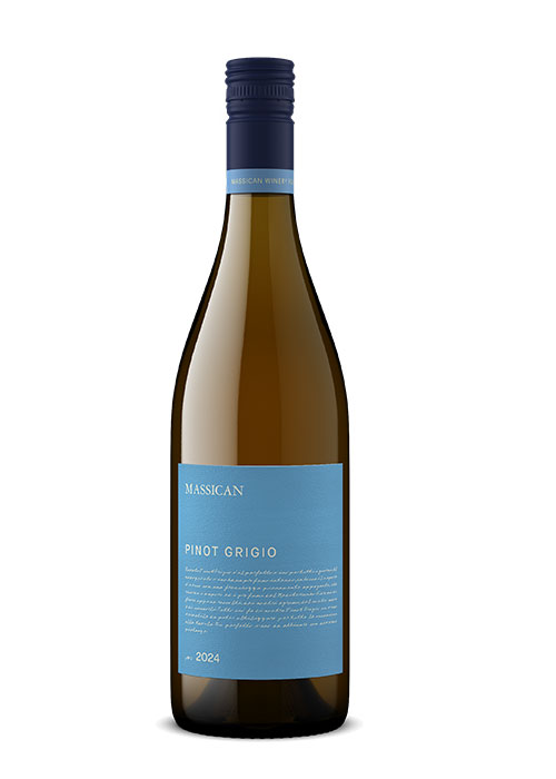Massican Pinot Grigio Review