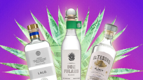 We Asked 15 Bartenders: Which Tequila Offers the Best Bang for Your Buck? (2025)