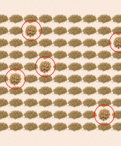 How the ‘95/5’ Rye Mash Bill Went From MGP Signature to Craft Staple