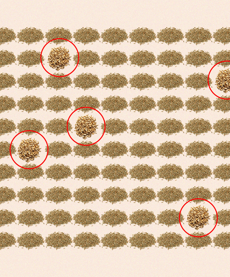 How the ‘95/5’ Rye Mash Bill Went From MGP Signature to Craft Staple