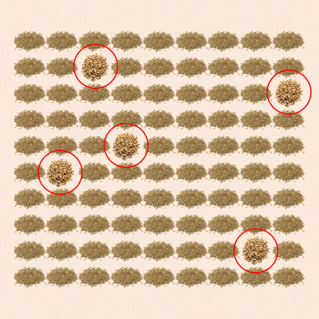 How the ‘95/5’ Rye Mash Bill Went From MGP Signature to Craft Staple