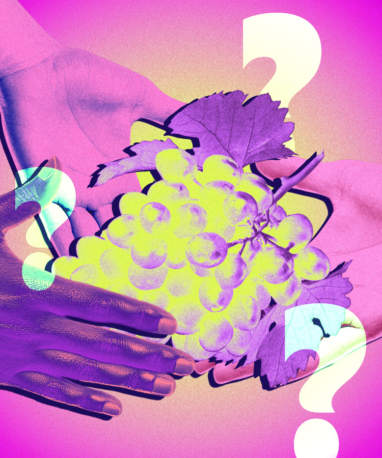 Ask a Sommelier: What Is a Wine Co-Op?