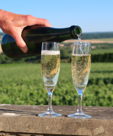 Pink Chardonnay Added as Eighth Official Champagne Grape