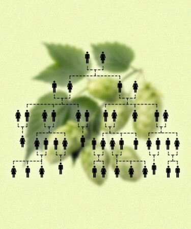 Beneath the Bines: The Multicultural Roots of the Pacific Northwest Hop Harvest