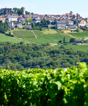 The World’s Best Sauvignon Blanc Regions, Mapped